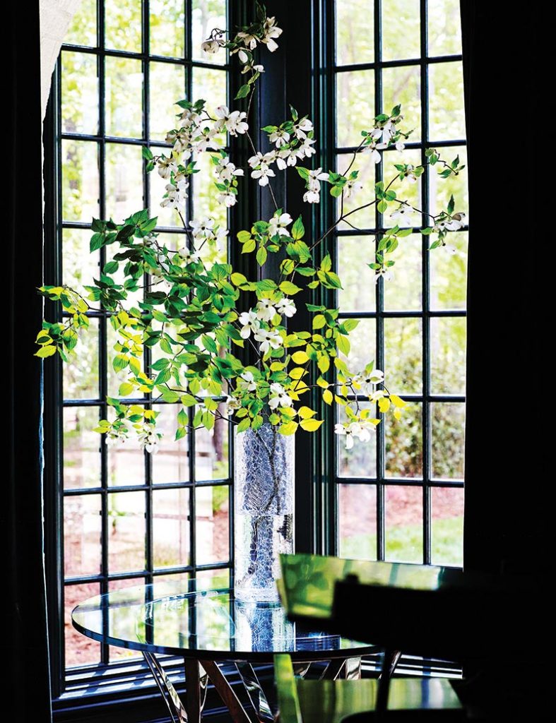 White blossom branches in front of a black steel casement window