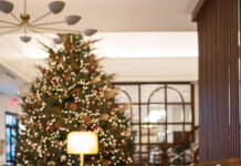 Charleston’s Hotel Emeline’s Boutique Elegance and Festive Holiday Celebrations Experience Charleston Charm: Hotel Emeline’s Boutique Elegance and Festive Holiday Celebrations